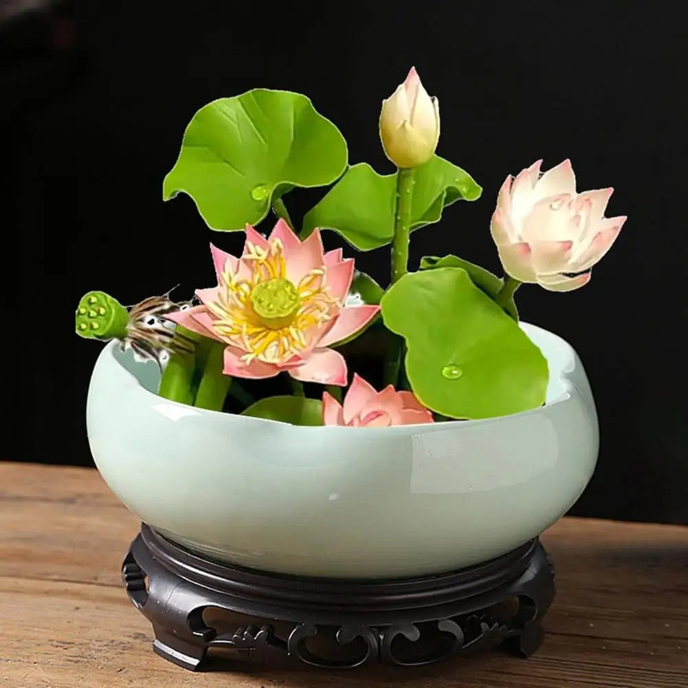 ceramik lotus schale vers. farben