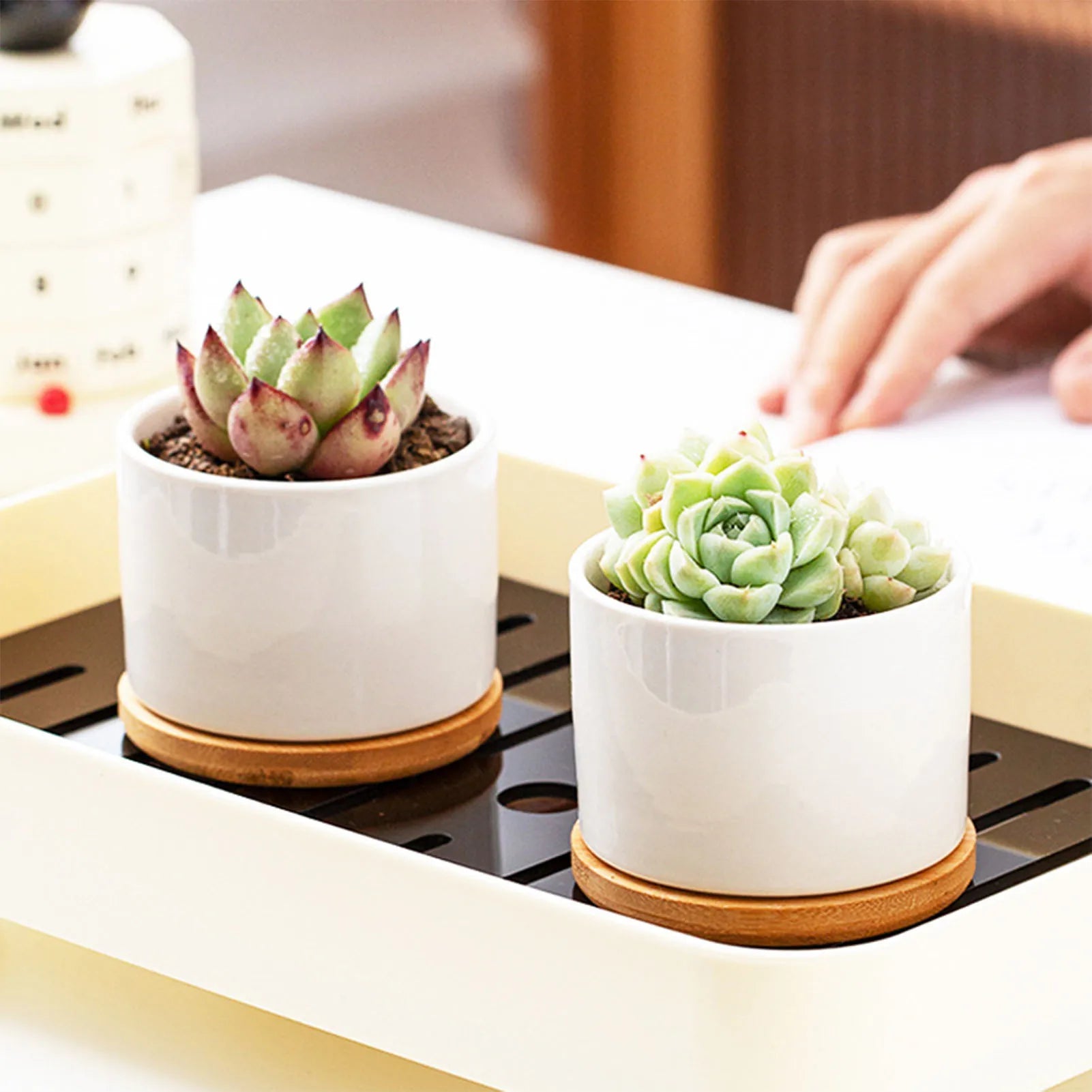 Ceramic Planter Pot with Bamboo Tray Succulent Plant Round Desktop Pot Small Bonsai Pots Green Planters Creative Flowerpots